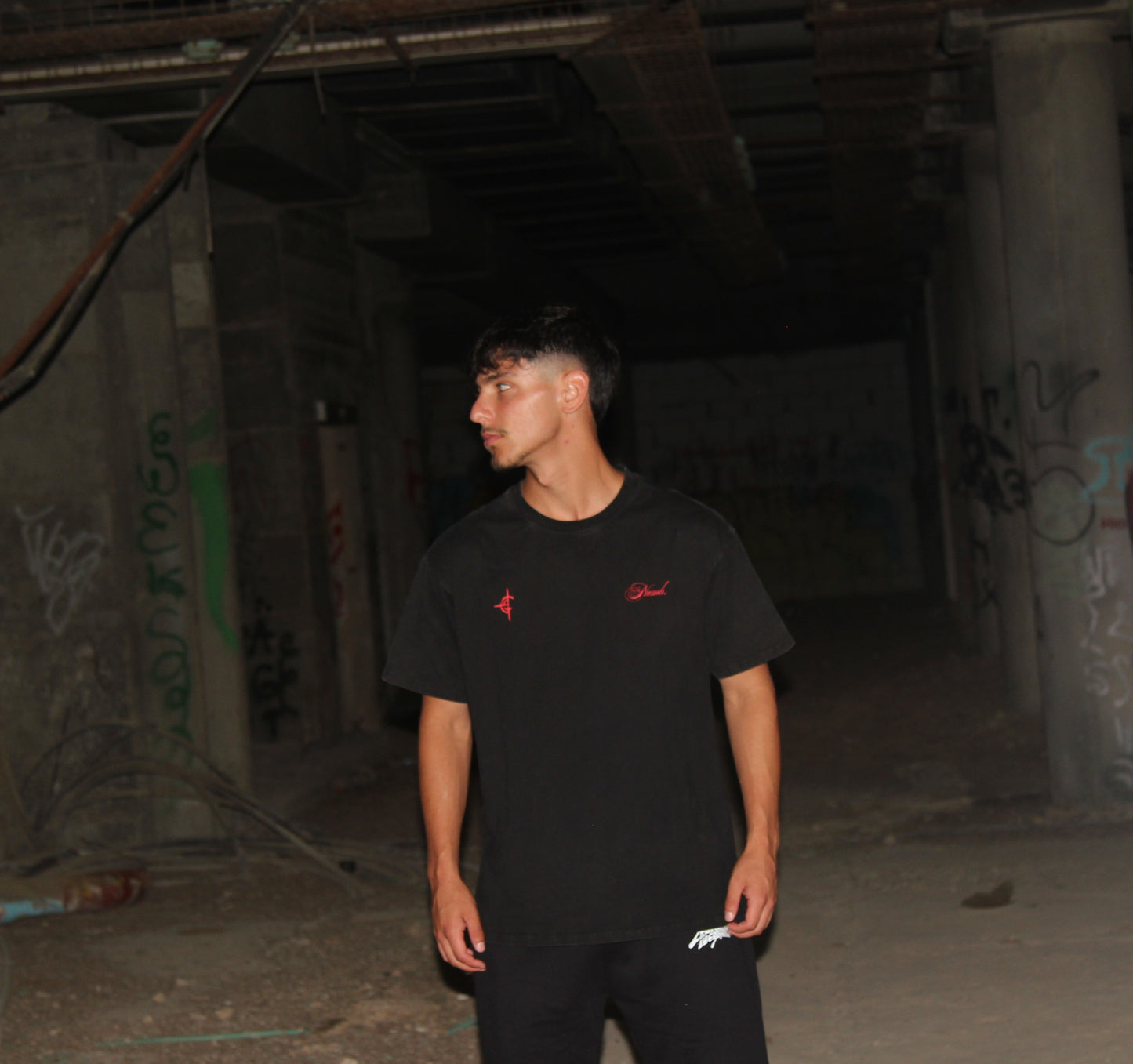 NUMB DONT HATE THE PLAYER
